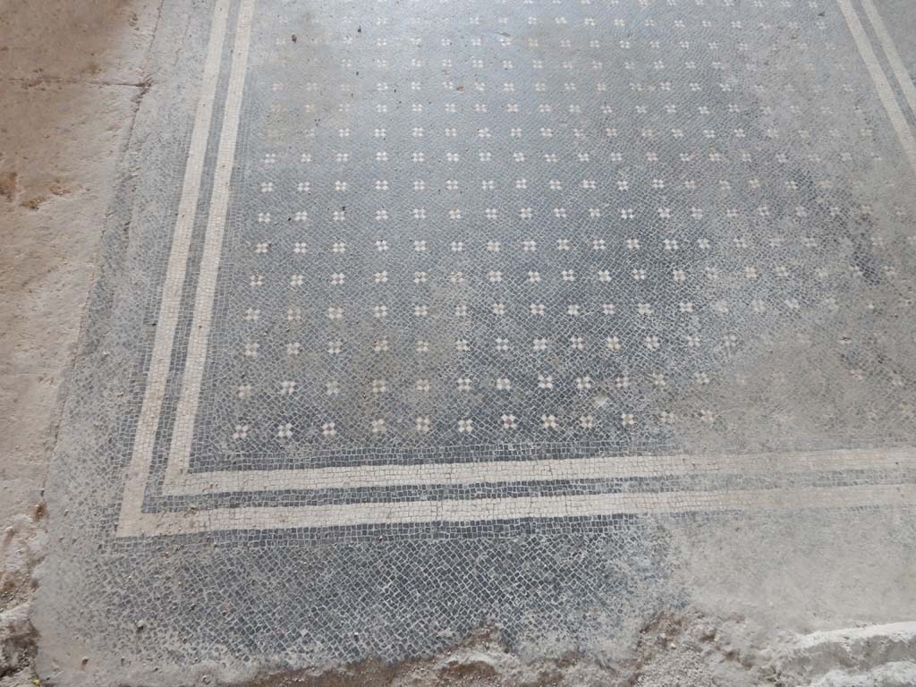 Stabiae, Villa Arianna, June 2019. W30, detail of mosaic flooring in north portico.
Photo courtesy of Buzz Ferebee.
