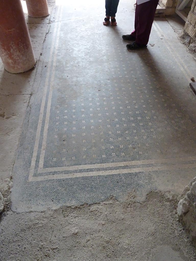 Stabiae, Villa Arianna, September 2015. W30, mosaic flooring in north portico. 