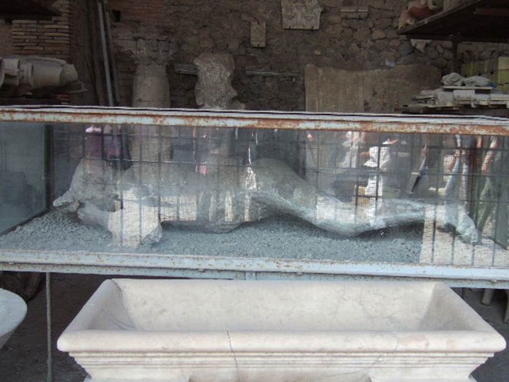 VII.7.29 Pompeii. May 2006. Victim number 10, plaster cast of body among items in storage area.