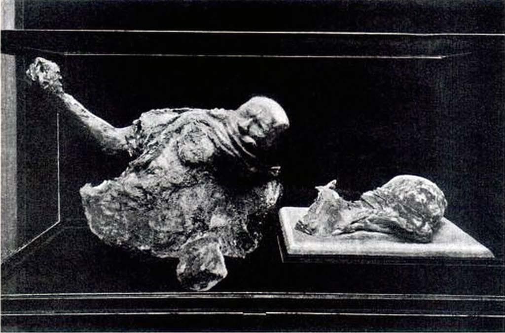 Victim 18 on left and victim 16 on right. Boscoreale, Villa della Pisanella. 1923. Torcularium. 
Body cast of head and abdomen of victim 18 and the head of a woman, victim 16, in Pompeii Antiquarium. 
See Sogliano, A., 1923. Guida di Pompei: 3rd ed. Milano, p. 5.
The torso was destroyed in the bombing of 1943 and the woman's head damaged and only partly recovered.
See Garcia y Garcia, L., 2006. Danni di guerra a Pompei. Rome: L’Erma di Bretschneider, p. 198, fig. 463.
