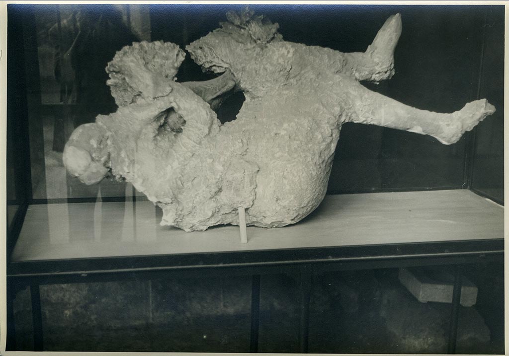 Victim 27. March 1956. Plaster cast of female victim found in Vicolo di Venere, 8th to 12th September 1933.
Photo courtesy of Rick Bauer.
