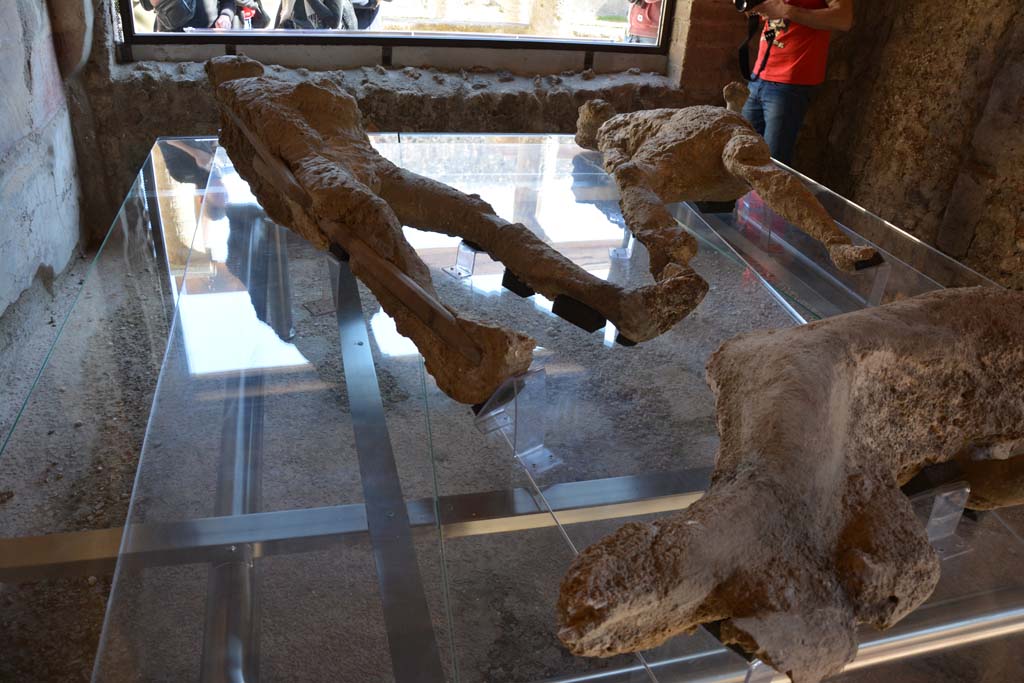 VII.1.47 Pompeii. March 2017. Room 8, looking across plaster-casts towards window in east wall.
The plaster-cast of victim 2 can be seen in the lower right. Photo courtesy Adrian Hielscher.

