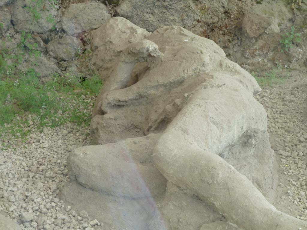 I.21.6 Pompeii. May 2010. Detail of a plaster cast of impression of a body. Victim 39.