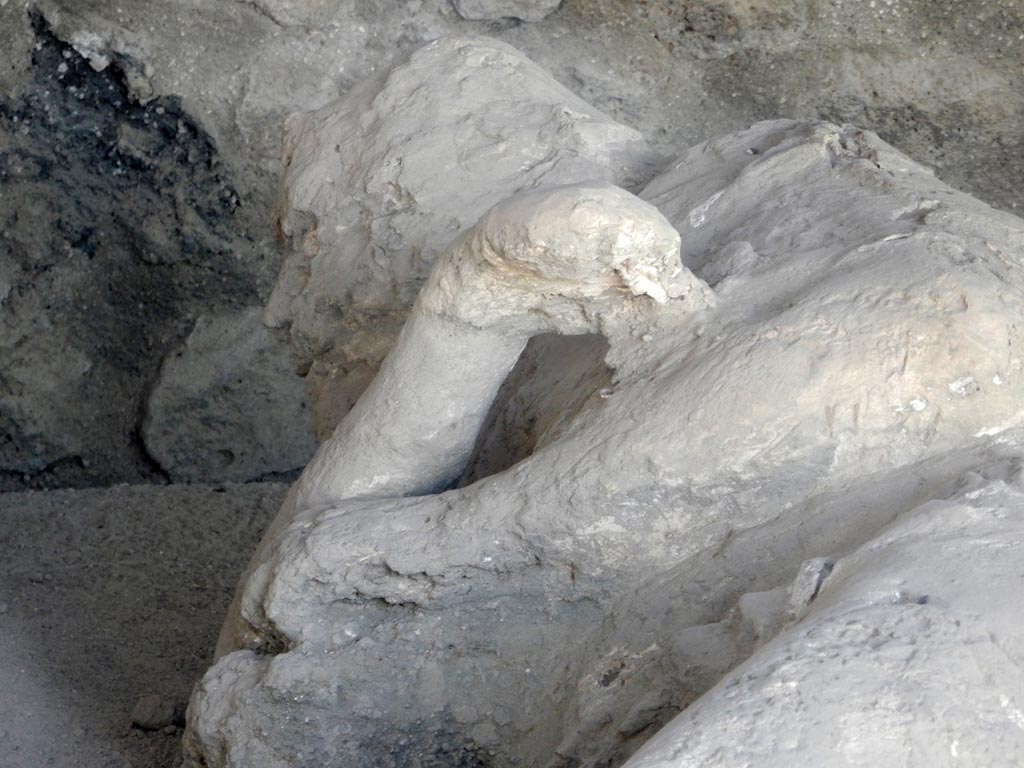 I.21.6 Pompeii. May 2016. Detail of plaster casts of the head and upper body. Victim 39. Photo courtesy of Buzz Ferebee.