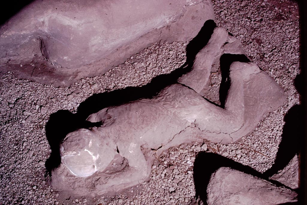 I.21.6 Pompeii. 1974. Detail of a plaster cast of victim 40. Photo by Stanley A. Jashemski.   
Source: The Wilhelmina and Stanley A. Jashemski archive in the University of Maryland Library, Special Collections (See collection page) and made available under the Creative Commons Attribution-Non Commercial License v.4. See Licence and use details.
J74f0229
