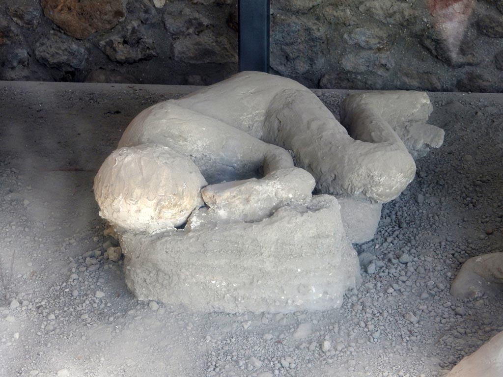 I.21.6 Pompeii. May 2015. Detail of a plaster cast of victim 46. Photo courtesy of Buzz Ferebee.
The body cast does not present any distinctive bodily features, and the extremities have barely suggested shapes.
See Osanna, N., Capurso, A., e Masseroli, S. M., 2021. I Calchi di Pompei da Giuseppe Fiorelli ad oggi: Studi e Ricerche del PAP 46, p. 428, Calco n. 46.
