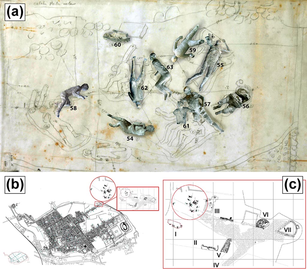 Victim 55. Location of casts from Porta Nola. 
(a) Original position of some of the studied Porta Nola casts (#57, #62, #58, #54, #55). (b) Map of Pompeii. (c) Detail of casts discovery area (I: Burials of Praetorians; II: Modern Masonries; III: Tomb of Obellius Firmus; IV: Porta Nola; V: Leakpan; VI: Tomb of Esquilia Polla; VII: Anonymous Tomb). 
Photo courtesy of The Casts of Pompeii Project. Use subject to CC BY 4.0 Deed 
See Alapont L, Gallello G, Martinón-Torres M, Osanna M, Amoretti V, Chenery S, et al. (2023) The casts of Pompeii: Post-depositional methodological insights. PLoS ONE 18(8): e0289378, Fig 1. https://doi.org/10.1371/journal.pone.0289378 
