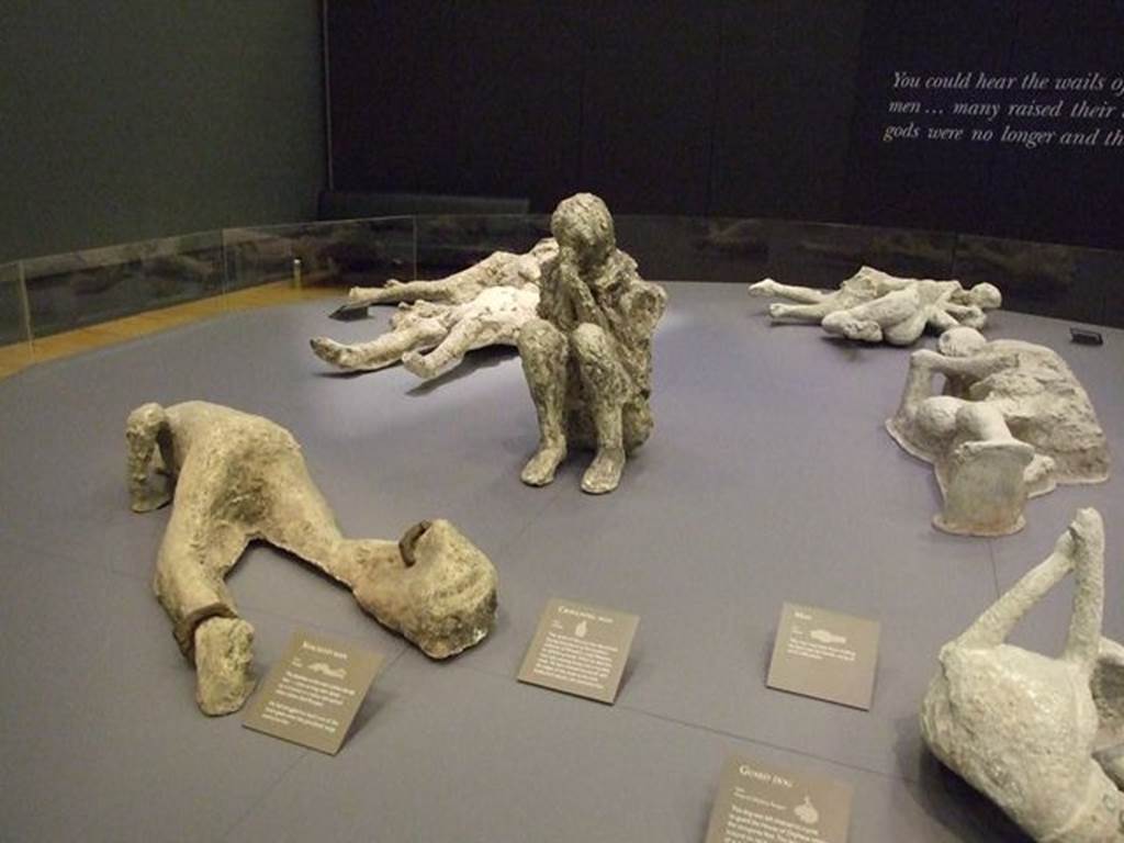 Victim 81. The Shackled Man. Porta Capua 2002. Photographed at “A Day in Pompeii” exhibition at Melbourne Museum. September 2009.