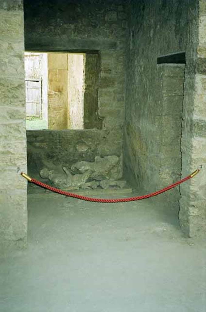 I.8.17 Pompeii. June 2010. Looking into room 10 doorway with victims 84 and 85 inside. 
Photo courtesy of Rick Bauer.

