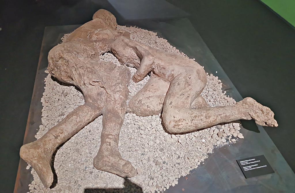 I.6.2 Pompeii. March 2024. Resin plaster cast of two victims, 21 and 22, found above the garden area. Photo courtesy of Giuseppe Ciaramella.
On display in exhibition in Palaestra entitled – “L’altra Pompei, vite comuni all’ombra del Vesuvio”. 
