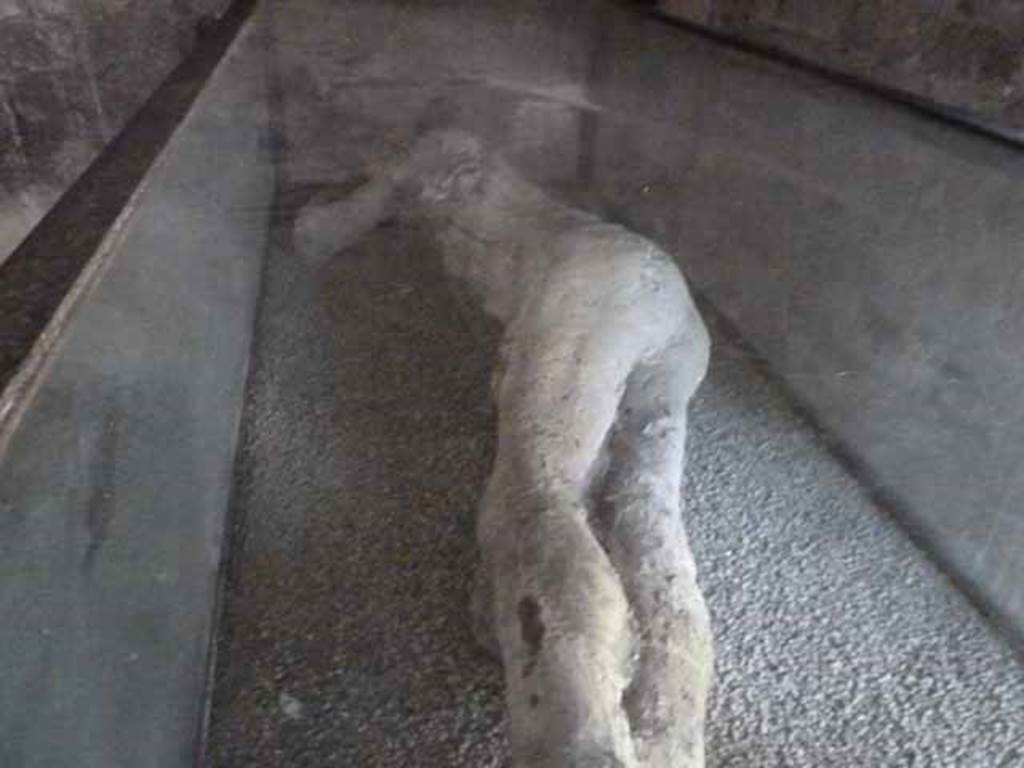 Villa of Mysteries, Pompeii. May 2010. Victim 25. Body-cast in room 35.
An adult, tall, thin person still vigorous on bony legs, his back not bent by the years but accustomed to the hard work of the fields and the farm, he was one of the last inhabitants of the Villa.
Adulto, con l'alta magra persona ancora vigorosa sulle gambe ossute, la schiena non piegata dagli anni ma avvezza alle dure fatiche dei campi e della fattoria, era uno degli ultimi abitanti della Villa.
See/Vedi Maiuri A., 1967. La Villa dei Misteri. Istituto poligrafico dello stato/libreria dello stato, p.10.
