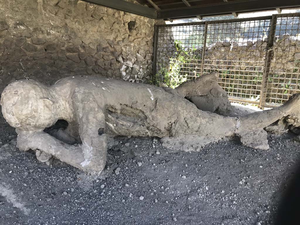 Victim 30 found outside Porta Nocera. April 2019. Plaster cast of remains of a fleeing victim found in September 1956. 
Photo courtesy of Rick Bauer. 

