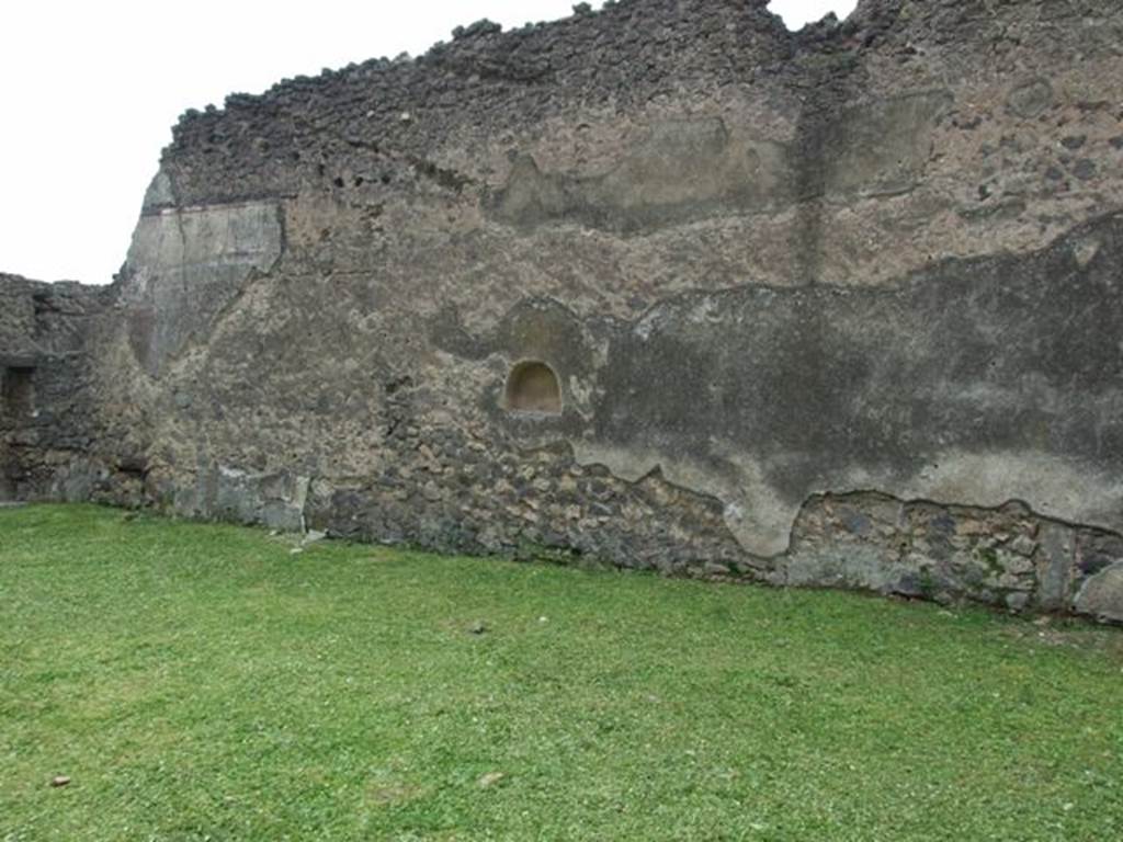 I.9.3 Pompeii. March 2009. Room 6.  Garden area.  West wall. 