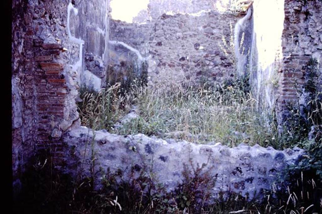 PL.17B. (same as above, but flipped horizontally).
Pompeii, 1978. Photo by Stanley A. Jashemski.   
Source: The Wilhelmina and Stanley A. Jashemski archive in the University of Maryland Library, Special Collections (See collection page) and made available under the Creative Commons Attribution-Non Commercial License v.4. See Licence and use details.
J78f0333   
