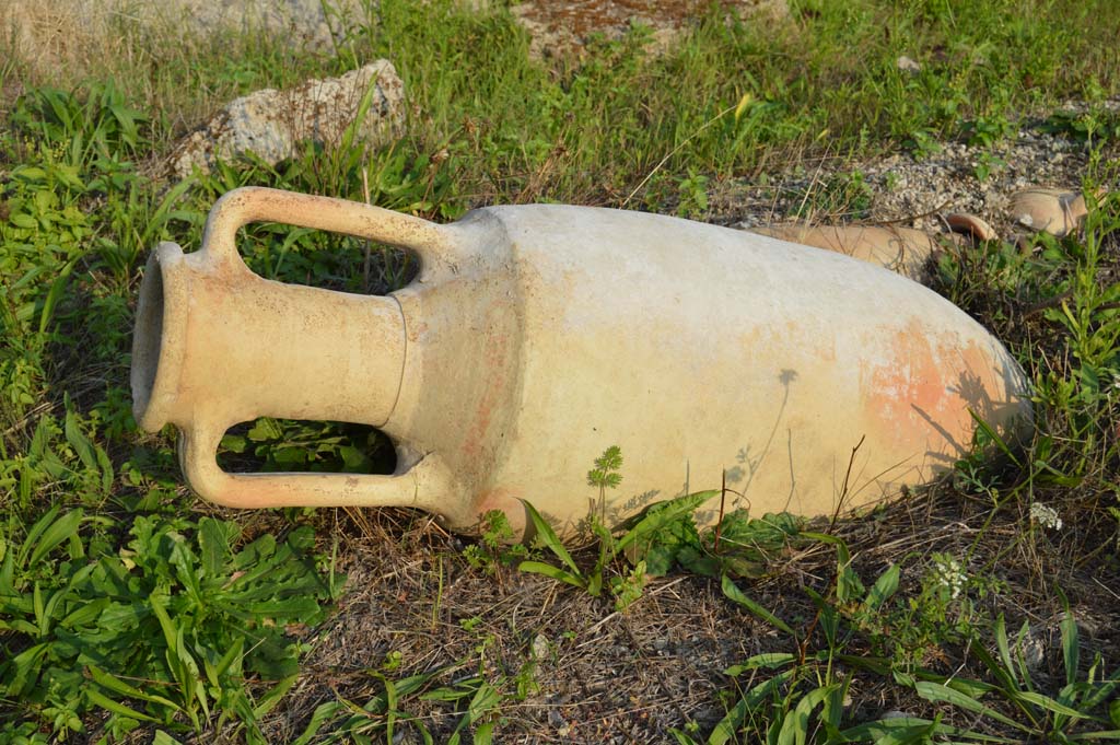 I.2.24 Pompeii. October 2017. Amphora. 
Foto Taylor Lauritsen, ERC Grant 681269 DÉCOR.

