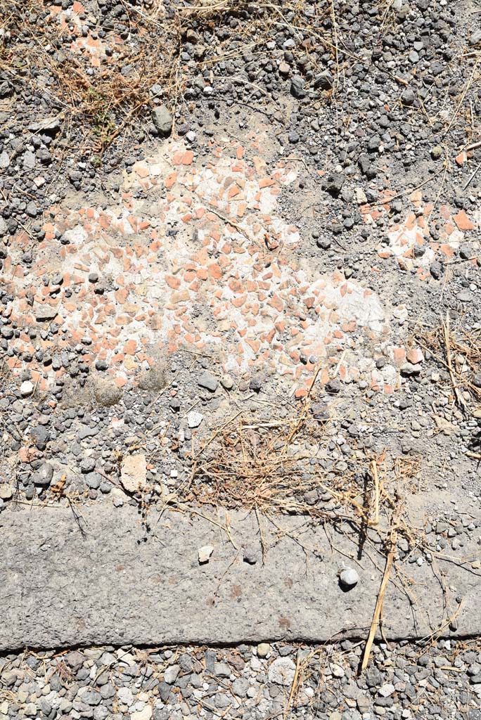 I.4.25 Pompeii. September 2020. Room 47, detail of atrium floor at south end of fauces. 
Foto Tobias Busen, ERC Grant 681269 DÉCOR

