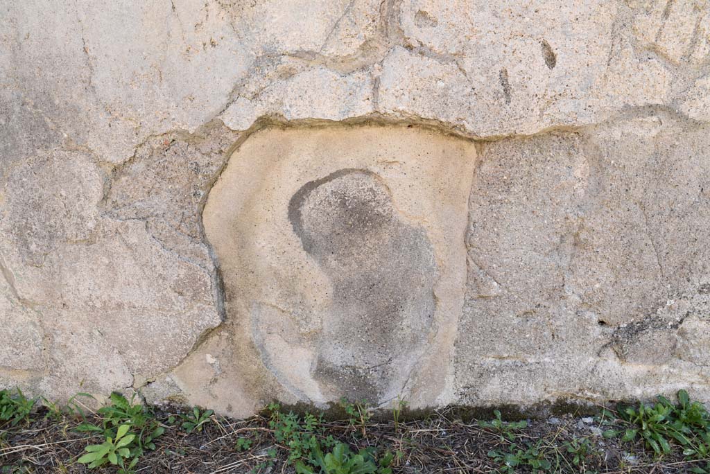 I.4.25 Pompeii. September 2020. Room 58, detail from zoccolo/dado.
Foto Tobias Busen, ERC Grant 681269 DÉCOR.
