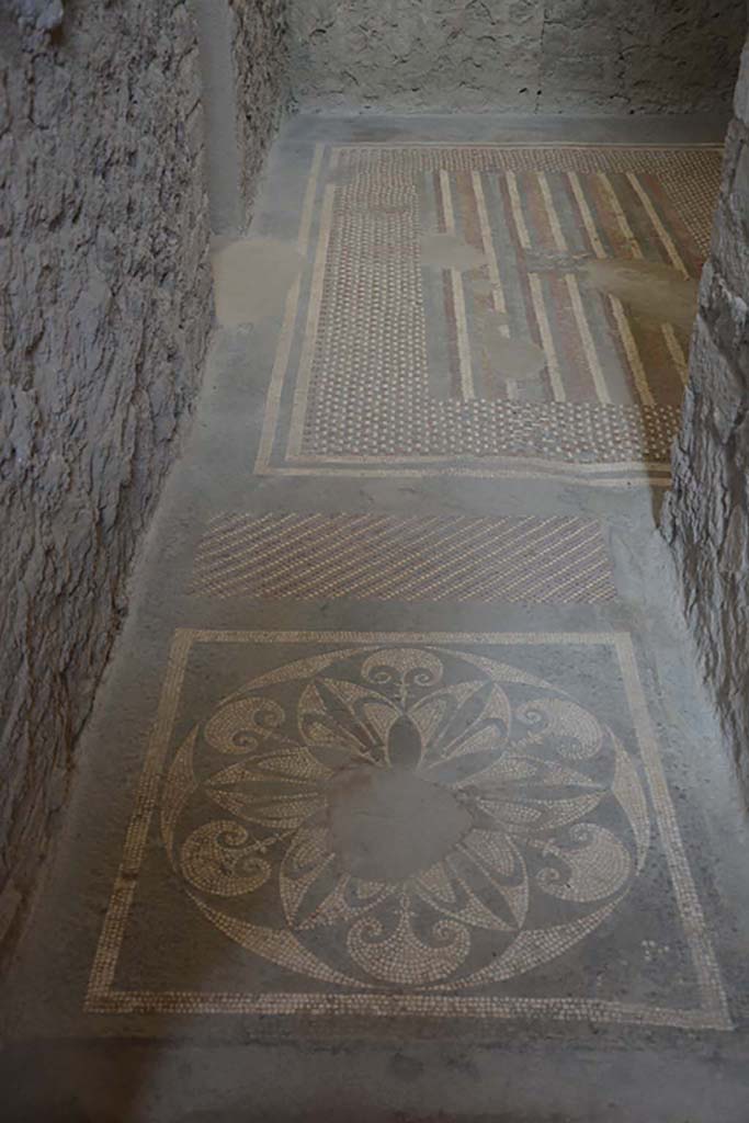 I.6.2 Pompeii. September 2019. Looking east across mosaic floors.
Foto Annette Haug, ERC Grant 681269 DÉCOR.

