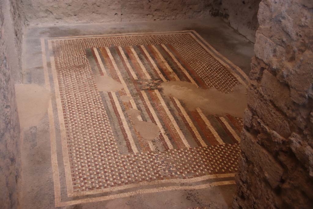 I.6.2 Pompeii. September 2019. Floor “carpet” mosaic in anteroom, apodyterium or changing room. Photo courtesy of Klaus Heese.