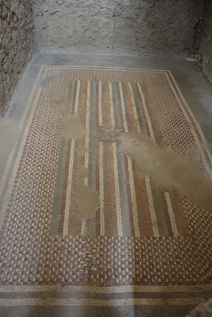 I.6.2 Pompeii. September 2019. Floor “carpet” mosaic in anteroom, apodyterium or changing room.
Foto Annette Haug, ERC Grant 681269 DÉCOR.
