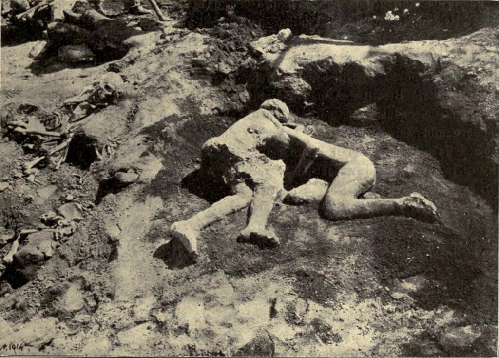 I.6.2 Pompeii. Plaster cast of two victims, (no.21 on the left, and no.22 on the right), found in the garden, between 2nd and 21st July 1914.
The casts were formed “with the long and patient work of two valued workmen, Umberto Borelli and Armando Mancini”.
See Notizie degli Scavi di Antichità, 1914, Vol XI, p.261. (Fig.5)
