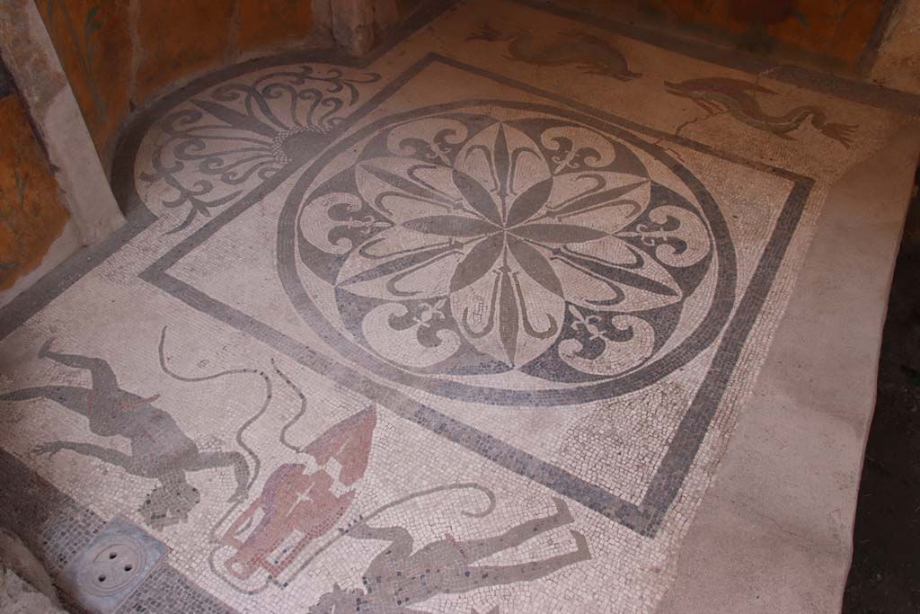 I.6.16 Pompeii. September 2019. Looking east across mosaic paving. Photo courtesy of Klaus Heese.

