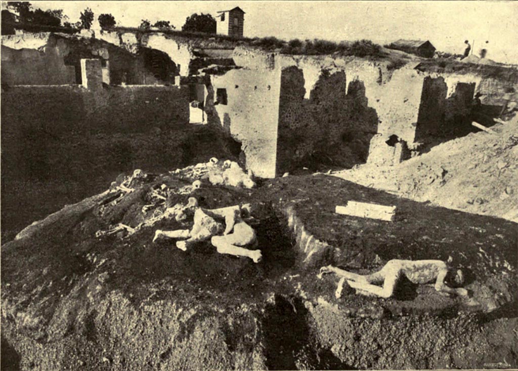 I.6.2 Casa del Criptoportico. Garden area. Four casts and skeletons at the excavations of 1914.
A cast of two females, a young man/boy found to the right/east of the two females and behind to the north a fourth cast.
The fourth cast was in a group with two other victims, but the skeletons were not made into plaster casts.
See Notizie degli Scavi di Antichità, 1914, p.366, Fig. 1.
