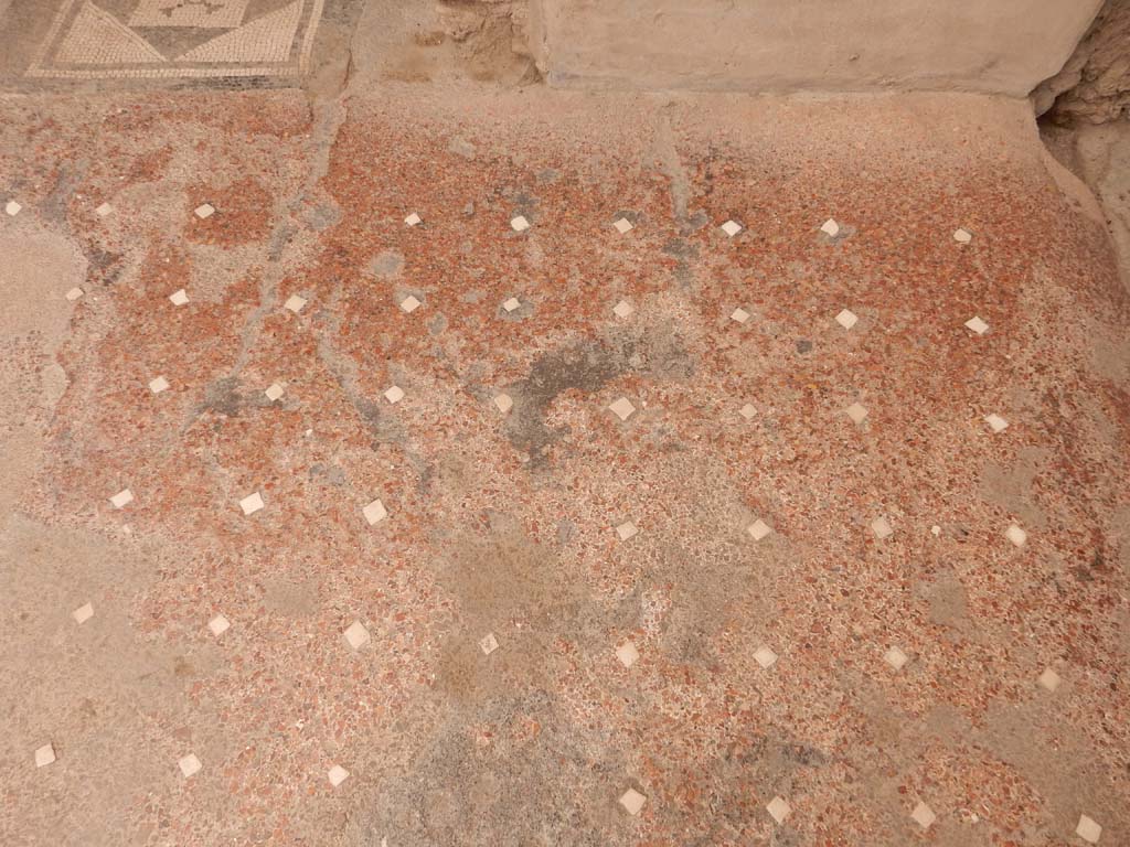 I.6.15 Pompeii. June 2019. Doorway of room 11 with mosaic, top left, and flooring from room 9, below.
Photo courtesy of Buzz Ferebee.
