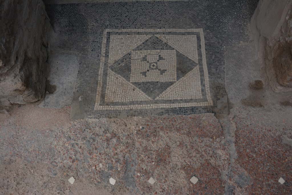 I.6.15 Pompeii. March 2019. Room 11, mosaic in doorway.      
Foto Annette Haug, ERC Grant 681269 DÉCOR

