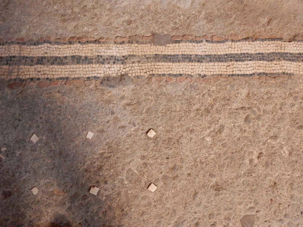 I.6.15 Pompeii. June 2019. Room 4, detail of flooring in atrium. Photo courtesy of Buzz Ferebee.