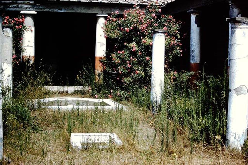 I.7.1 Pompeii. 1959. Looking north across garden, from between the columns that would have surrounded a triclinium.
Photo by Stanley A. Jashemski.
Source: The Wilhelmina and Stanley A. Jashemski archive in the University of Maryland Library, Special Collections (See collection page) and made available under the Creative Commons Attribution-Non-Commercial License v.4. See Licence and use details.
J59f0353
According to Jashemski –
In the middle of the garden, four columns formed a shady pergola over a wooden triclinium’ the imprint of individual boards and of the crosspieces that held them together were clearly preserved. About fifty large nails were retrieved. 
In front of the triclinium there was a marble-faced basin of rectangular form with an apse-shaped extension on the north. 
This pool, which had a fountain jet, was connected with a smaller marble basin between the couches of the triclinium.
See Jashemski, W. F., 1993. The Gardens of Pompeii, Volume II: Appendices. New York: Caratzas. (p.37).

According to Soprano –
Ubicazione: peristilio.
Bibliog. “Not. Scavi”, 1929, p.386.
Al centro del peristilio s’innalzavano quattro sottili colonne disposte in quadrato che certamente erano destinate a reggere un pergolato.
Al centro dell’area coperta del pergolato, presso una vaschetta marmorea, furon rinvenute, al momento dello scavo, le impronte di un triclinio in legno,   
Era formato da tavole collegate da quattro listelli inchiodati con robusti chiodi di cui furono trovati una cinquantina.
A settentrione del triclinio c’era una piscina di forma rettangolare, con uno dei lati absidati.
See Soprano, P. (1950). I triclini all’aperto di Pompei. (In Pompeiana, raccolta di studi per il secondo centenario degli scavi di Pompei. Napoli, Gaetano Macchiaroli, Editore, P. 307, no.30 ).

Source: The Wilhelmina and Stanley A. Jashemski archive in the University of Maryland Library, Special Collections (See collection page) and made available under the Creative Commons Attribution-Non Commercial License v.4. See Licence and use details.
J59f0353
