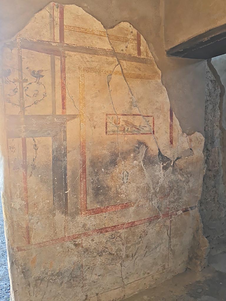 I.7.11 Pompeii. March 2024. 
North wall of cubiculum to south-east of atrium, with doorway to triclinium, on right.
Photo courtesy of Giuseppe Ciaramella.
