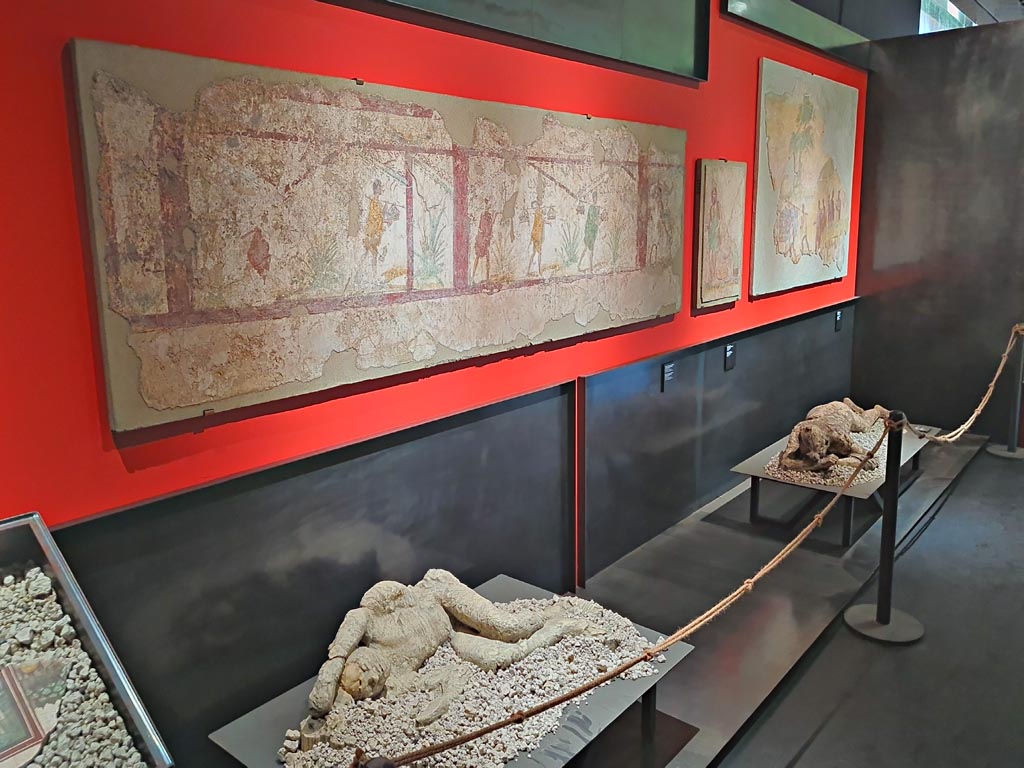 I.8.15 Pompeii. March 2024. Painted panel, on display in exhibition in Palaestra, entitled -
“L’altra Pompei, vite comuni all’ombra del Vesuvio”. Photo courtesy of Giuseppe Ciaramella.
