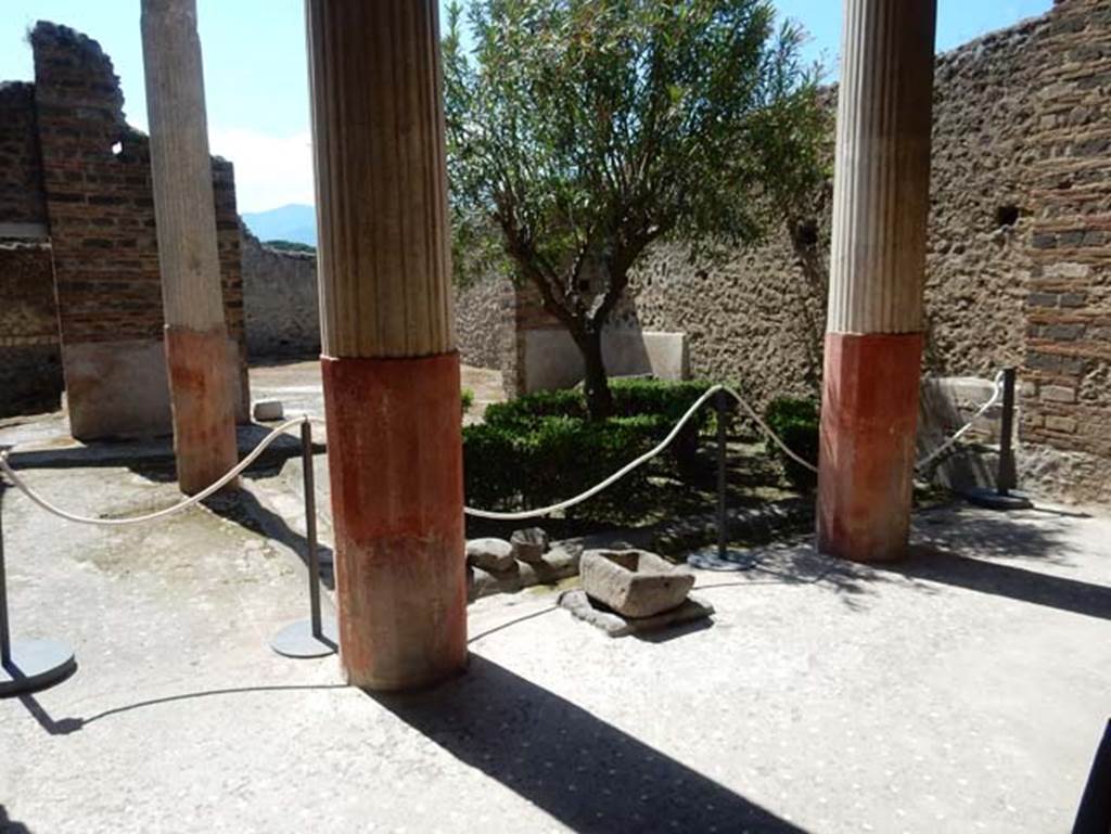 I.9.5 Pompeii. May 2016. Looking south-west across north portico and peristyle garden. Photo courtesy of Buzz Ferebee.
