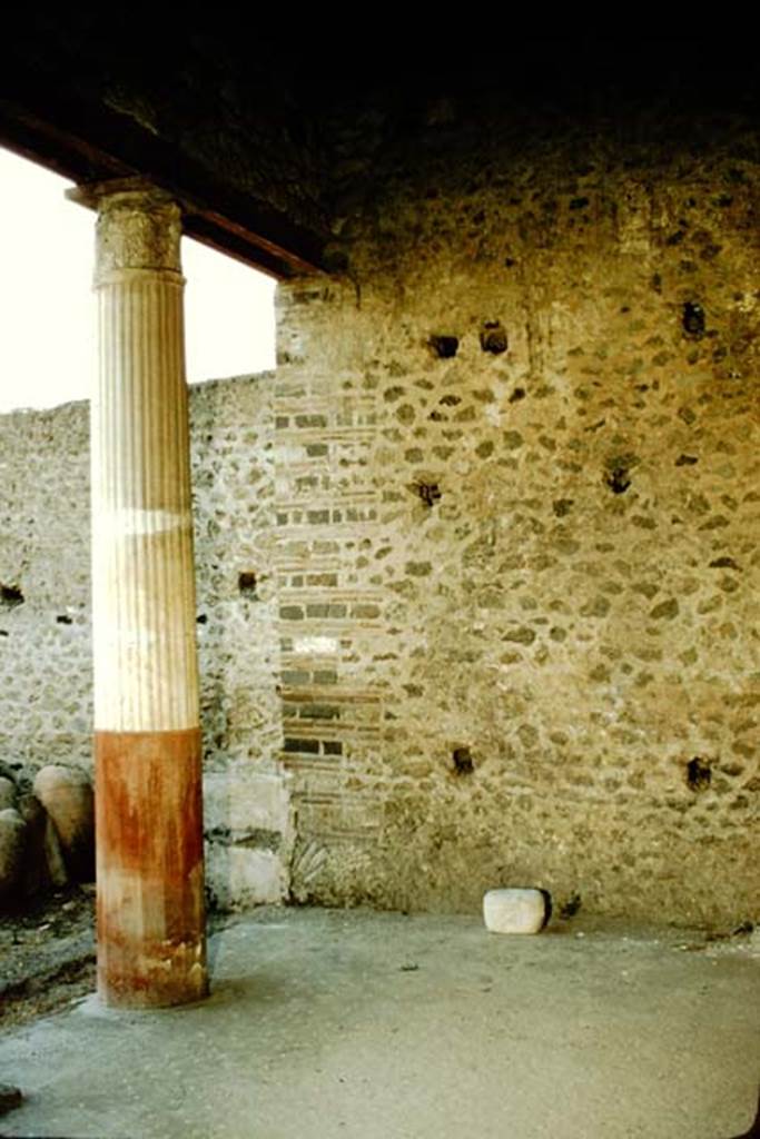 I.9.5 Pompeii. 1957. Looking west across north portico. Photo by Stanley A. Jashemski.
Source: The Wilhelmina and Stanley A. Jashemski archive in the University of Maryland Library, Special Collections (See collection page) and made available under the Creative Commons Attribution-Non Commercial License v.4. See Licence and use details.
J57f0480
