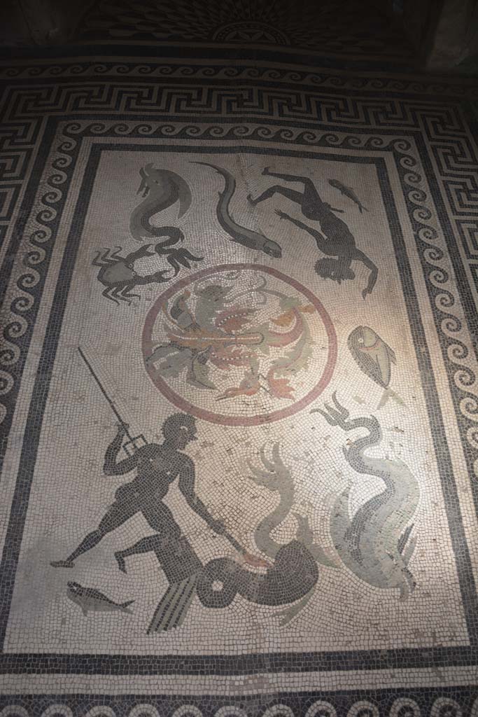 I.10.4 Pompeii. September 2019. Room 48, floor mosaic.
Foto Annette Haug, ERC Grant 681269 DÉCOR.
