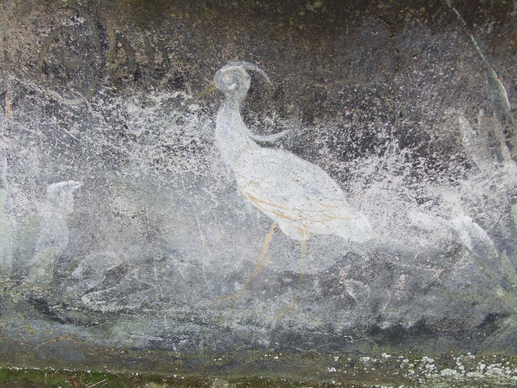 I.10.4 Pompeii. December 2006. Peristyle garden, bird painted from peristyle garden side of painted pluteus of peristyle.