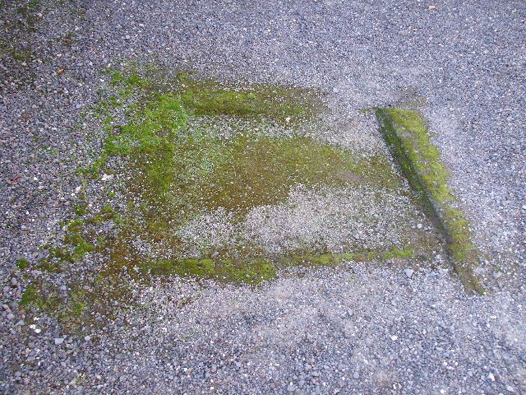 I.11.14 Pompeii. December 2006. Impluvium in atrium, looking west.