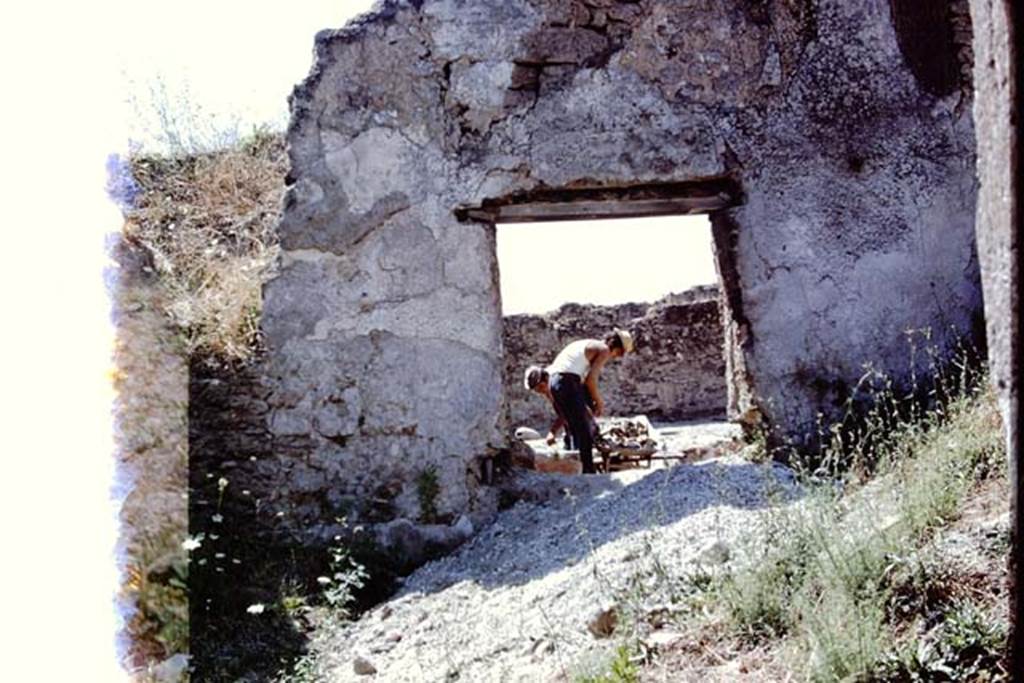 I.14.2 Pompeii. 1972. Looking west through window in atrium, towards garden area and unearthing of triclinium. Photo by Stanley A. Jashemski. 
Source: The Wilhelmina and Stanley A. Jashemski archive in the University of Maryland Library, Special Collections (See collection page) and made available under the Creative Commons Attribution-Non Commercial License v.4. See Licence and use details. J72f0703
