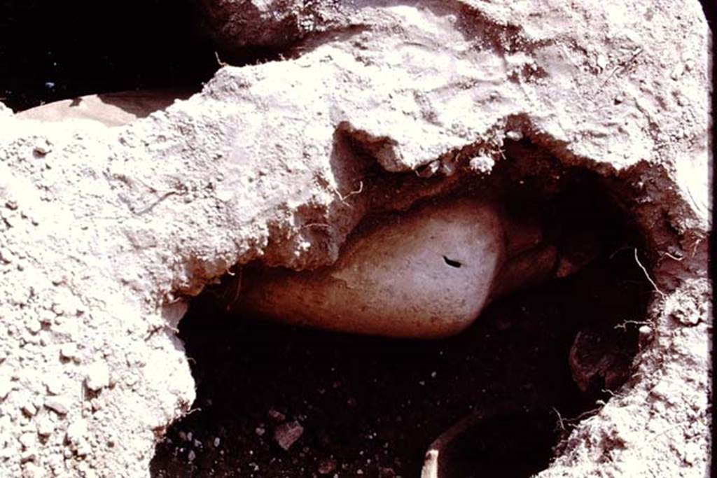 I.14.2 Pompeii. 1972. Discovery of a buried amphora. Photo by Stanley A. Jashemski. 
Source: The Wilhelmina and Stanley A. Jashemski archive in the University of Maryland Library, Special Collections (See collection page) and made available under the Creative Commons Attribution-Non Commercial License v.4. See Licence and use details. J72f0480
