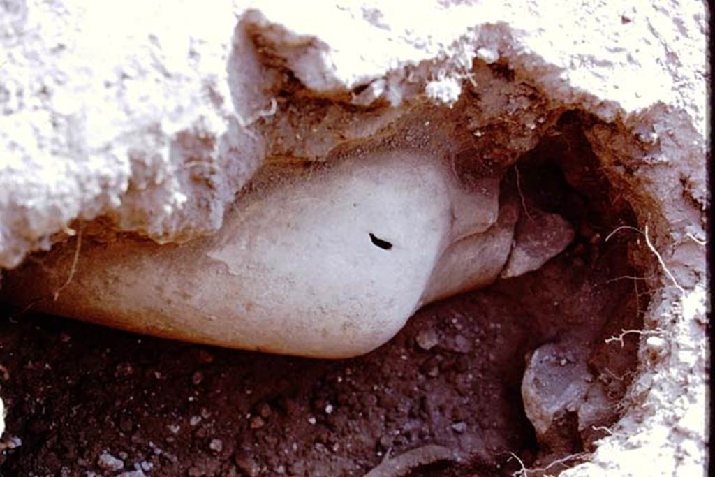 I.14.2Pompeii. 1972. Buried amphora. Photo by Stanley A. Jashemski. 
Source: The Wilhelmina and Stanley A. Jashemski archive in the University of Maryland Library, Special Collections (See collection page) and made available under the Creative Commons Attribution-Non Commercial License v.4. See Licence and use details. J72f0481
