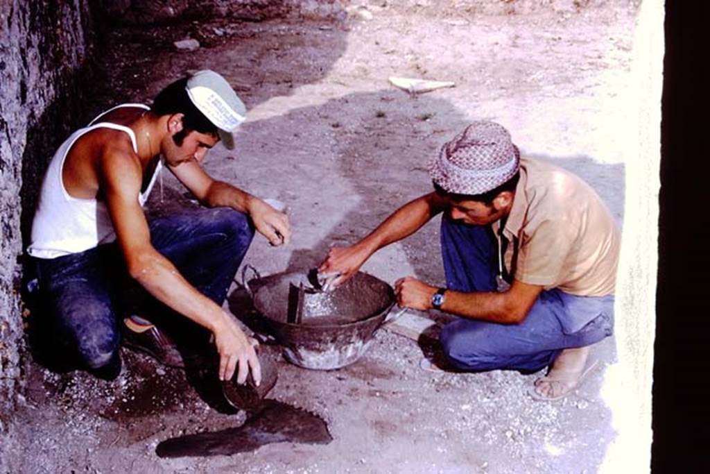 I.14.2 Pompeii. 1972. Filling the root-cavity. Photo by Stanley A. Jashemski. 
Source: The Wilhelmina and Stanley A. Jashemski archive in the University of Maryland Library, Special Collections (See collection page) and made available under the Creative Commons Attribution-Non Commercial License v.4. See Licence and use details. J72f0336
