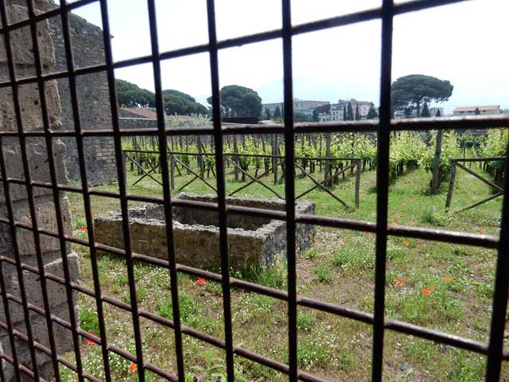 I.15.3 Pompeii. October 2022. Garden area/vineyard 14, looking north to structure/basin. Photo courtesy of Klaus Heese.

