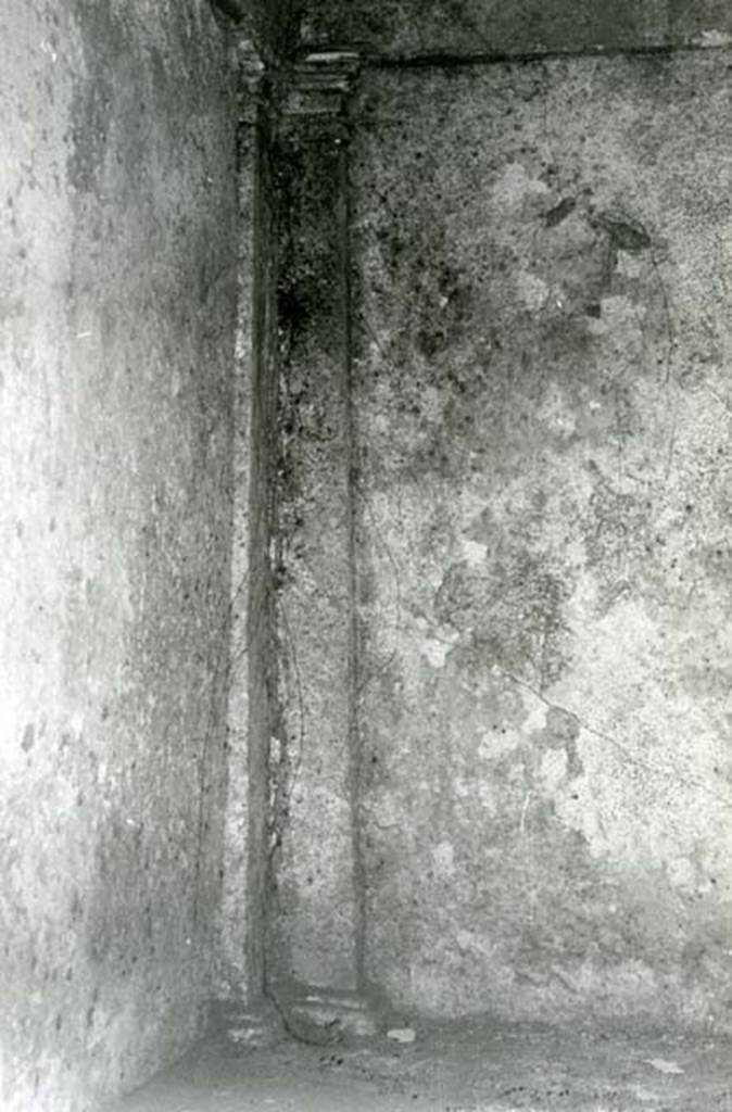 I.15.3 Pompeii. 1972. Room 4. House of Ship Europa, W cubiculum, detail of pilaster.  
Photo courtesy of Anne Laidlaw.
American Academy in Rome, Photographic Archive. Laidlaw collection _P_72_17_27.
