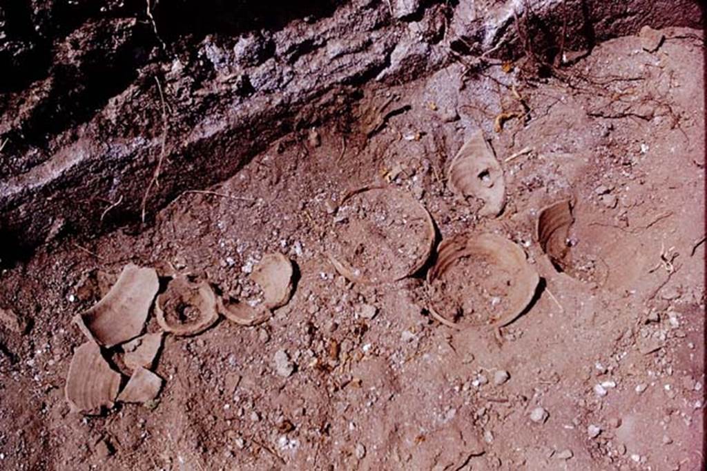 I.15.1 or I.15.3. Pompeii. 1972. Fragments of terracotta plant pots buried in the soil. Photo by Stanley A. Jashemski. 
Source: The Wilhelmina and Stanley A. Jashemski archive in the University of Maryland Library, Special Collections (See collection page) and made available under the Creative Commons Attribution-Non Commercial License v.4. See Licence and use details. J72f0638
