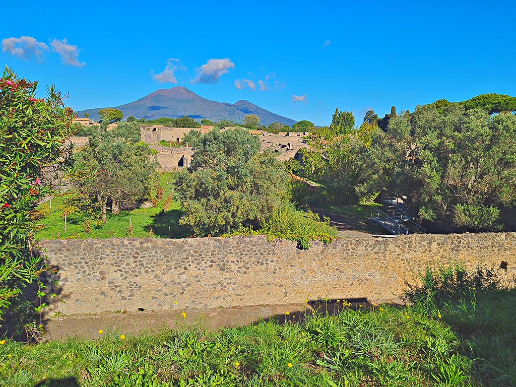 I.21.2/6 Pompeii. October 2024. Looking north across garden area. Photo courtesy of Giuseppe Ciaramella.