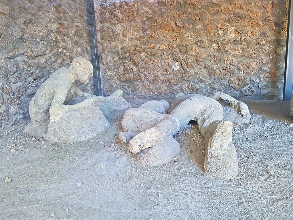 I.21.6 Pompeii. October 2024. 
Plaster casts of impressions of bodies. Left to right, Victim 43, victim 44 and victim 45. Photo courtesy of Giuseppe Ciaramella.

