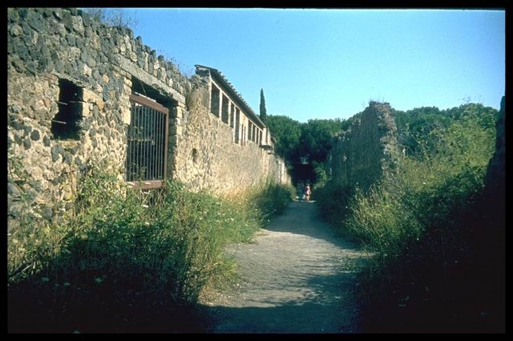 II.4.12  Pompeii.                  Roadway looking south                                II.3
Photographed 1970-79 by Gnther Einhorn, picture courtesy of his son Ralf Einhorn.
