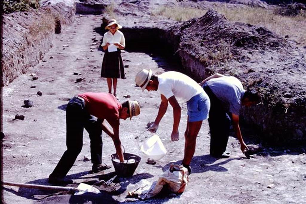 II.5 Pompeii. 1966. More cement needed ! Photo by Stanley A. Jashemski.
Source: The Wilhelmina and Stanley A. Jashemski archive in the University of Maryland Library, Special Collections (See collection page) and made available under the Creative Commons Attribution-Non Commercial License v.4. See Licence and use details.
J66f0869
