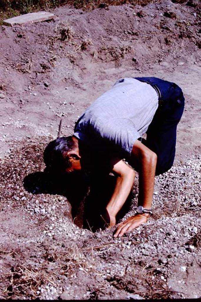 II.5 Pompeii. 1966. Emptying a root cavity. Photo by Stanley A. Jashemski.
Source: The Wilhelmina and Stanley A. Jashemski archive in the University of Maryland Library, Special Collections (See collection page) and made available under the Creative Commons Attribution-Non Commercial License v.4. See Licence and use details.
J66f0879
